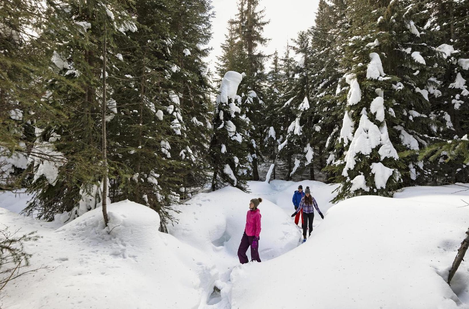 Fireside Lodge #409 By Bear Country Sun Peaks Buitenkant foto